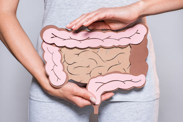 woman holding an illustration of the intestines
